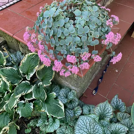 Szekelykapu Vendeghaz Feriehus