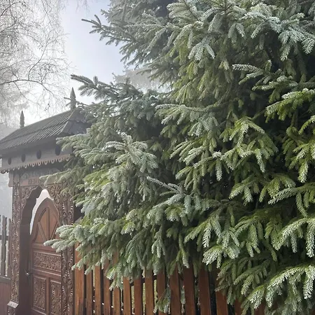 Szekelykapu Vendeghaz