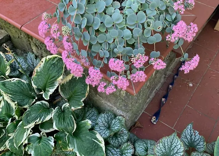 Szekelykapu Vendeghaz Feriehus